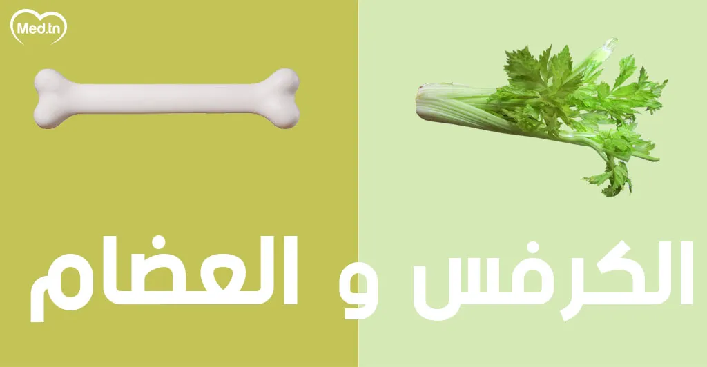  أطعمة تشبه أعضاء الجسم و مفيدة لها... تعرف عليها